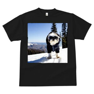 TVc fB[X t@  t vg JWA 킢 lԗp tBbglX R V[Y[ XL[EFA S[O ~