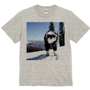 TVc Y LbY t@  t vg JWA 킢 lԗp tBbglX R V[Y[ XL[EFA S[O ~