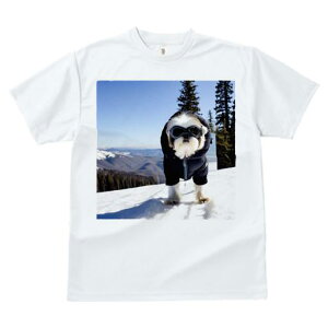 TVc fB[X t@  t vg JWA 킢 lԗp tBbglX R V[Y[ XL[EFA S[O ~