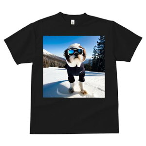 TVc fB[X t@  t vg JWA 킢 lԗp tBbglX R V[Y[ XL[EFA S[O