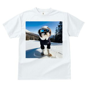 TVc Y LbY t@  t vg JWA 킢 lԗp tBbglX R V[Y[ XL[EFA S[O