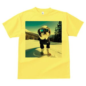 TVc Y LbY t@  t vg JWA 킢 lԗp tBbglX R V[Y[ XL[EFA S[O