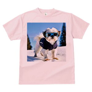 TVc Y LbY t@  t vg JWA 킢 lԗp tBbglX  V[Y[ XL[EFA S[O