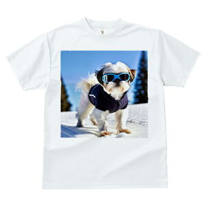 TVc fB[X t@  t vg JWA 킢 lԗp tBbglX  V[Y[ XL[EFA S[O