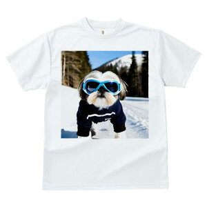 TVc fB[X t@  t vg JWA 킢 lԗp tBbglX  V[Y[ XL[EFA S[O ~