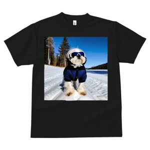 TVc fB[X t@  t vg JWA 킢 lԗp tBbglX XL[EFA V[Y[  ~ XL[