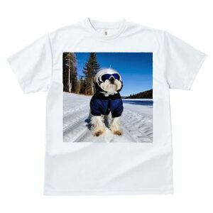 TVc fB[X t@  t vg JWA 킢 lԗp tBbglX XL[EFA V[Y[  ~ XL[