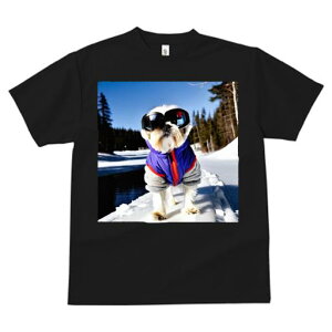 TVc fB[X t@  t vg JWA 킢 lԗp tBbglX XL[ V[Y[ ~  XL[EFA