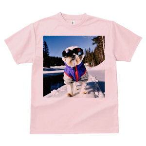 TVc Y LbY t@  t vg JWA 킢 lԗp tBbglX XL[ V[Y[ ~  XL[EFA