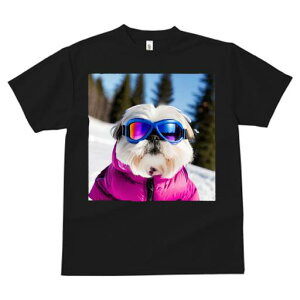 TVc fB[X t@  t vg JWA 킢 lԗp tBbglX XL[ V[Y[ ~  XL[EFA