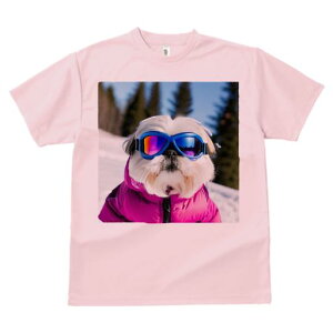 TVc Y LbY t@  t vg JWA 킢 lԗp tBbglX XL[ V[Y[ ~  XL[EFA