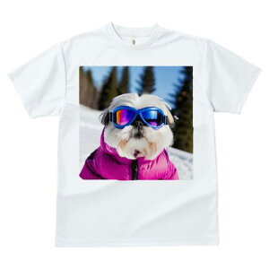 TVc Y LbY t@  t vg JWA 킢 lԗp tBbglX XL[ V[Y[ ~  XL[EFA