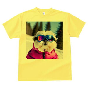 TVc Y LbY t@  t vg JWA 킢 lԗp tBbglX XL[ V[Y[ ~  XL[EFA