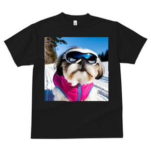 TVc fB[X t@  t vg JWA 킢 lԗp tBbglX XL[ V[Y[ ~  XL[EFA