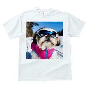 TVc Y LbY t@  t vg JWA 킢 lԗp tBbglX XL[ V[Y[ ~  XL[EFA