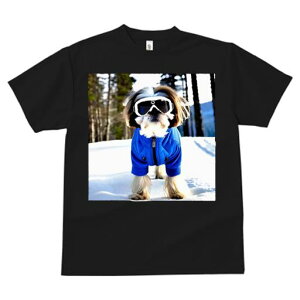 TVc fB[X t@  t vg JWA 킢 lԗp tBbglX  V[Y[ XL[EFA