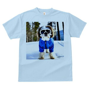 TVc Y LbY t@  t vg JWA 킢 lԗp tBbglX  V[Y[ XL[EFA