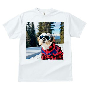 TVc fB[X t@  t vg JWA 킢 lԗp tBbglX XL[EFA V[Y[  R ~