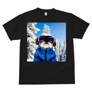 TVc fB[X t@  t vg JWA 킢 lԗp tBbglX XL[ V[Y[ ~  XL[EFA