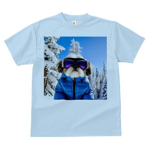 TVc Y LbY t@  t vg JWA 킢 lԗp tBbglX XL[ V[Y[ ~  XL[EFA