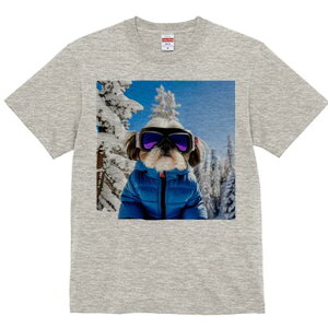 TVc Y LbY t@  t vg JWA 킢 lԗp tBbglX XL[ V[Y[ ~  XL[EFA