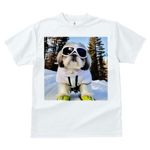 TVc fB[X t@  t vg JWA 킢 lԗp tBbglX XL[ V[Y[  ~ XL[EFA