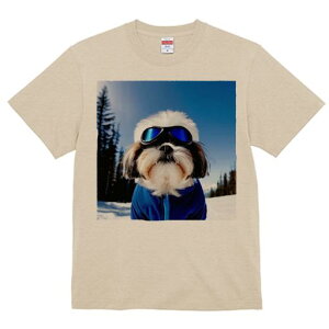 TVc Y LbY t@  t vg JWA 킢 lԗp tBbglX XL[ V[Y[ ~  XL[EFA