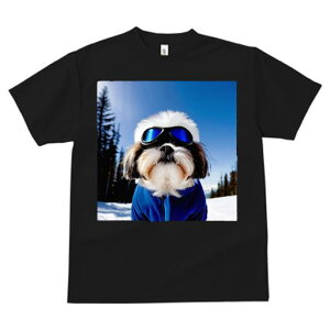 TVc fB[X t@  t vg JWA 킢 lԗp tBbglX XL[ V[Y[ ~  XL[EFA