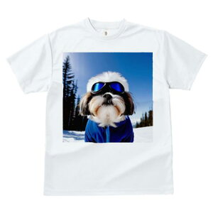 TVc fB[X t@  t vg JWA 킢 lԗp tBbglX XL[ V[Y[ ~  XL[EFA