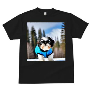 TVc fB[X t@  t vg JWA 킢 lԗp tBbglX XL[EFA V[Y[ S[O R