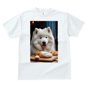 TVc fB[X t@  t vg JWA 킢 lԗp tBbglX p TGh Ăَq ؂̔ 