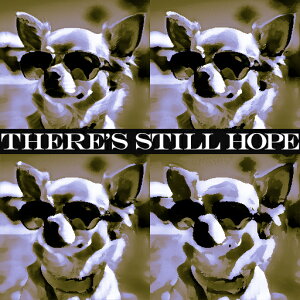 �T���O���X �`���� �N�b�V�����J�o�[ 45×45cm �A�j�}���� ������� ���� �N�b�V�����{�̕t�� �����`