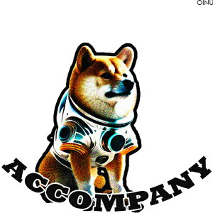 F Č Xy[X NbVJo[ 45×45cm Aj}   NbV{̕t `