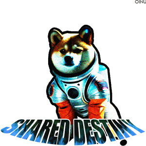 Fsm Č F NbVJo[ 45×45cm Aj}   NbV{̕t `