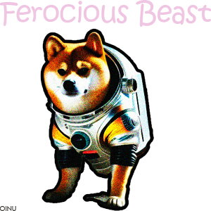 F Č NbVJo[ 45×45cm Aj}   NbV{̕t `