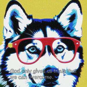 Kl VxAnXL[ NbVJo[ 45×45cm Aj}   NbV{̕t `