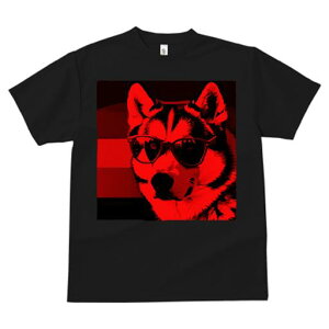 TVc fB[X t@  t vg JWA 킢 lԗp tBbglX Kl VxAnXL[ 