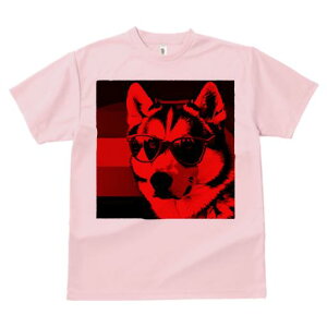 TVc Y LbY t@  t vg JWA 킢 lԗp tBbglX Kl VxAnXL[ 