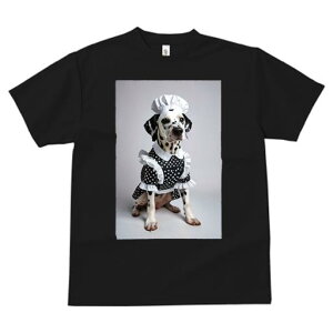 TVc fB[X t@  t vg JWA 킢 lԗp tBbglX RbNX _VA Gv ʖ͗l RX`[