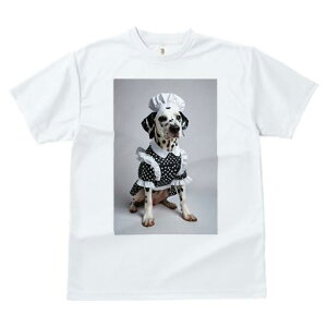 TVc fB[X t@  t vg JWA 킢 lԗp tBbglX RbNX _VA Gv ʖ͗l RX`[