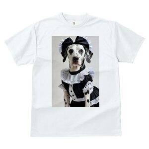 TVc fB[X t@  t vg JWA 킢 lԗp tBbglX Ch _VA RXv {