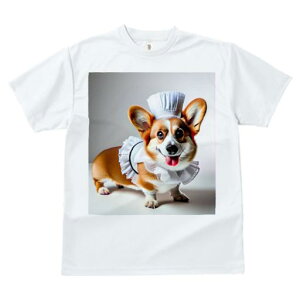 TVc fB[X t@  t vg JWA 킢 lԗp tBbglX RbNX R[M[ Gv