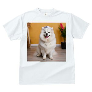 TVc fB[X t@  t vg JWA 킢 lԗp tBbglX  TGh A