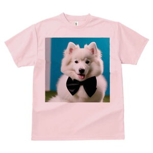 TVc Y LbY t@  t vg JWA 킢 lԗp tBbglX lN^C TGh