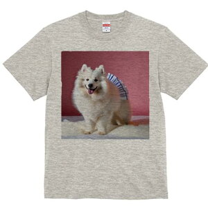 TVc Y LbY t@  t vg JWA 킢 lԗp tBbglX wi Wpj[YXsbc є