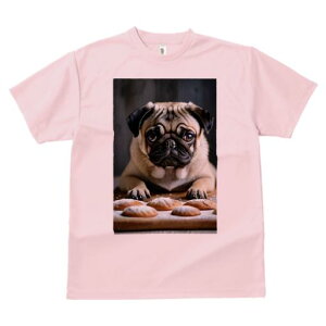 TVc Y LbY t@  t vg JWA 킢 lԗp tBbglX p pO Ăَq 