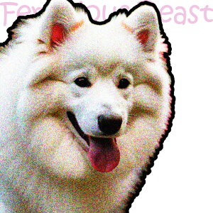 TGh NbVJo[ 45×45cm Aj}   NbV{̕t `