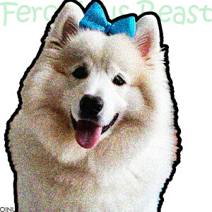 F̃{ TGh NbVJo[ 45×45cm Aj}   NbV{̕t `