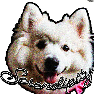 ���{�� �A�����J���G�X�L���[�h�b�O �N�b�V�����J�o�[ 45×45cm �A�j�}���� ������� ���� �N�b�V�����{�̕t�� �����`