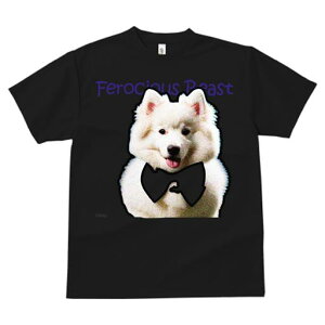 TVc fB[X t@  t vg JWA 킢 lԗp tBbglX lN^C TGh